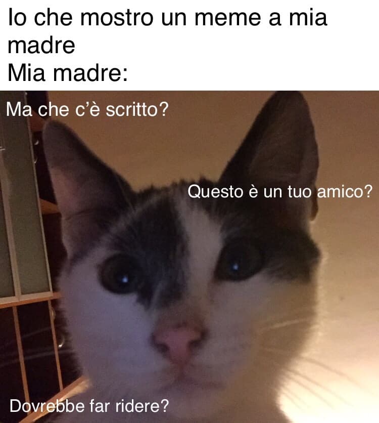 Che cazzo mamma un po’ di umorismo