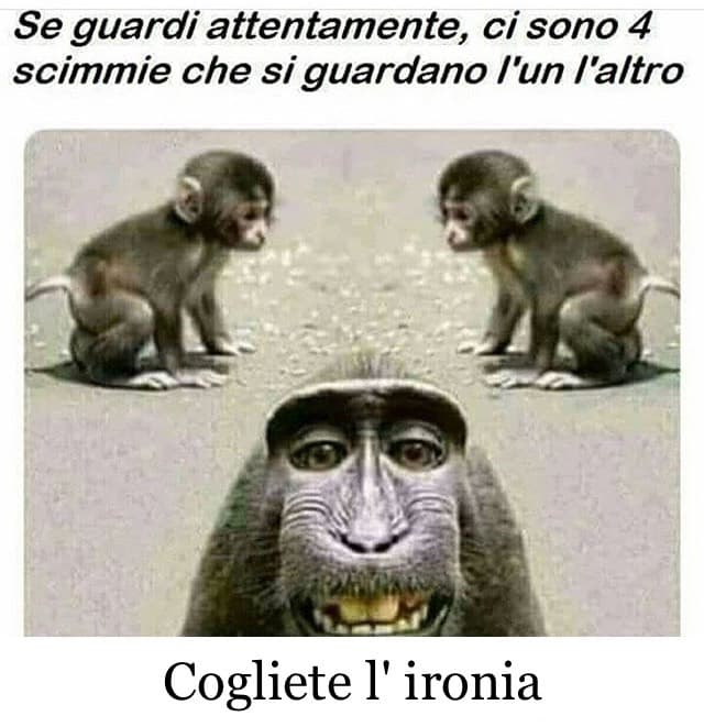 RIipeto: COGLIETE L' IRONIA