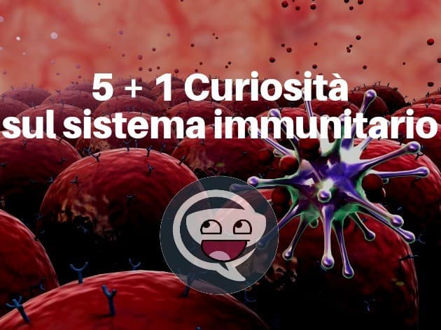 5 + 1 Curiosità sul sistema immunitario 