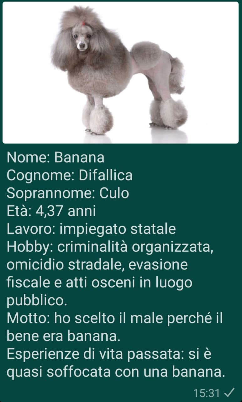 Banana Difallica