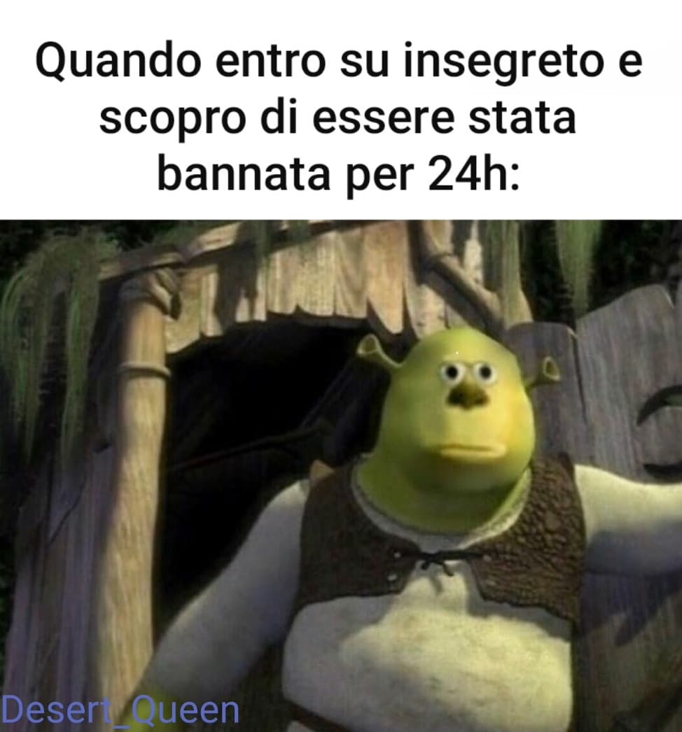 Sono stata bannata :(