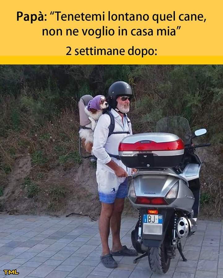 
Sempre.?