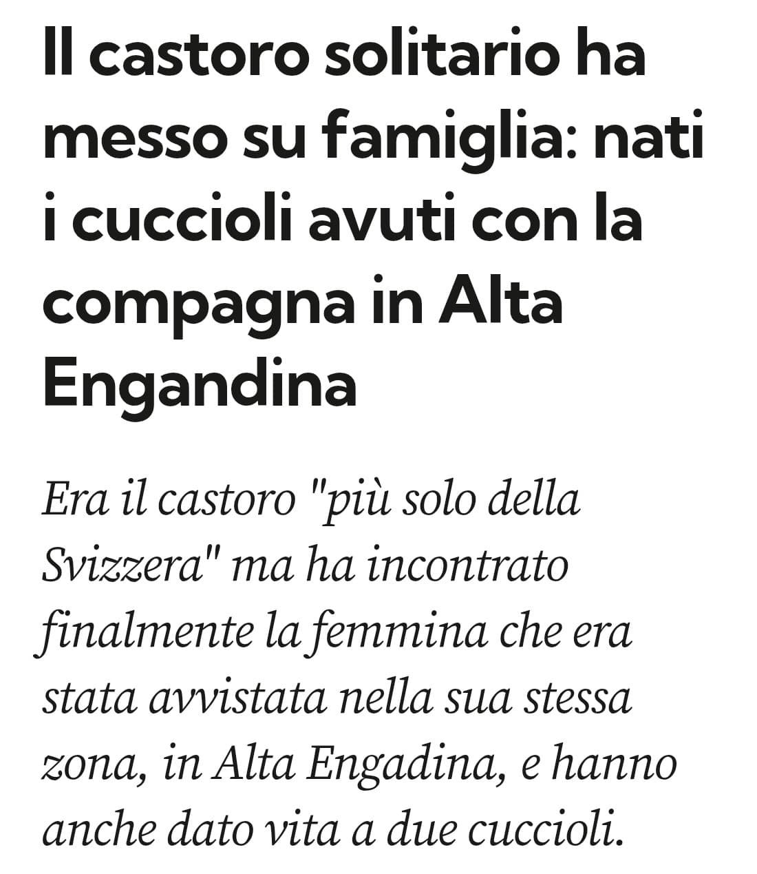 Se ce lha fatta lui, potete farcela anche voi