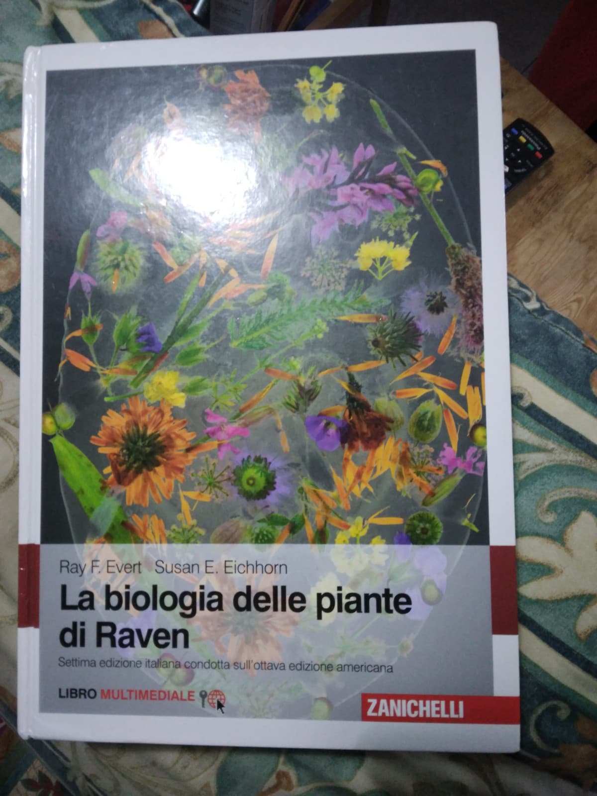 Questo libro nuovo mi sarebbe costato 120 euro ma su vinted l'ho trovato per 30