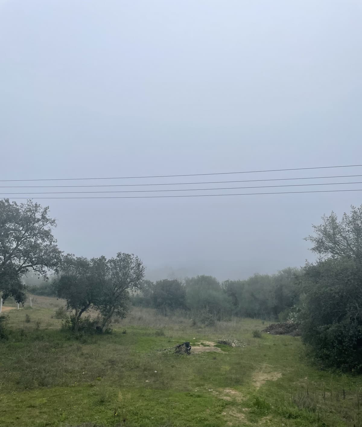 C’è giusto un po’ di nebbia 