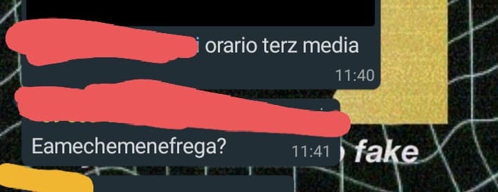 La mia scuola ha deciso di cambiare ancora orario, è una merda, e quindi ci stavamo lamentando e abbiamo accennato agli orari delle medie. Una mia compagna le ha mandato il suo: questa è la risposta del prof, lo adoro