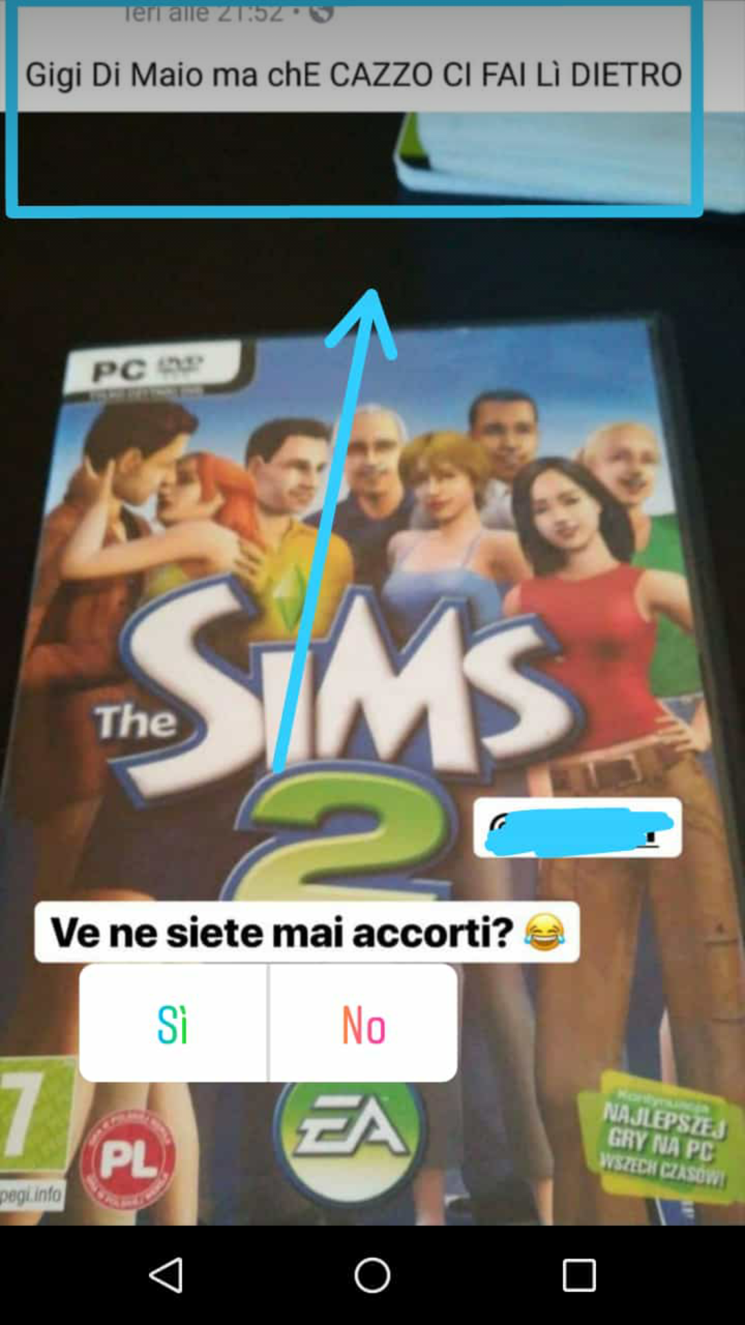 The sims