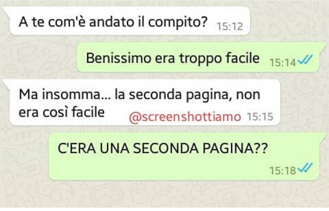 Avrà letto solo il testo????