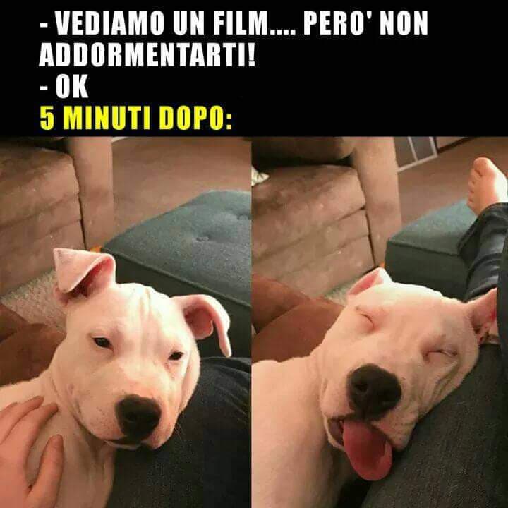 Nono, non mi addormento??