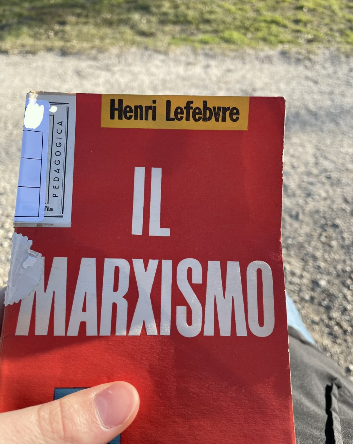 Non capisco niente, è come se fosse scritto in un’altra lingua. Non mi riferisco ai concetti, ma proprio alle frasi. Dev’essere l’autore o la traduzione a fare schifo 