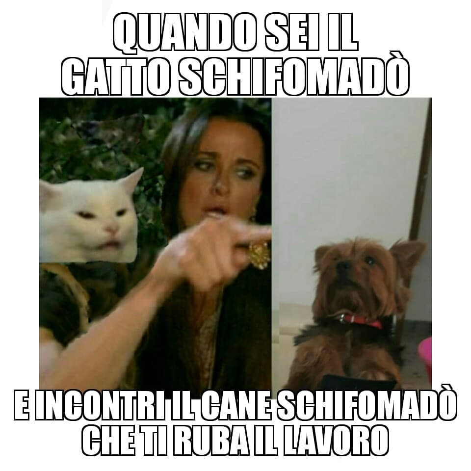 Gli date una possibilità a sto cane schifomadò?