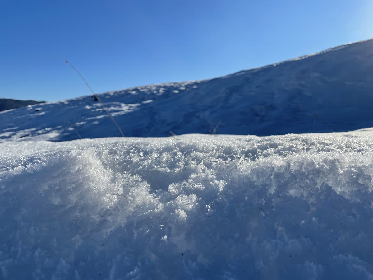 Ma voi sentite di avere uno scopo nella vostra vita? Forse non è la domanda giusta, ma siete coscienti di dove volete arrivare, chi volete essere? (non parlo di lavoro da fare). Come realizzazione di sé