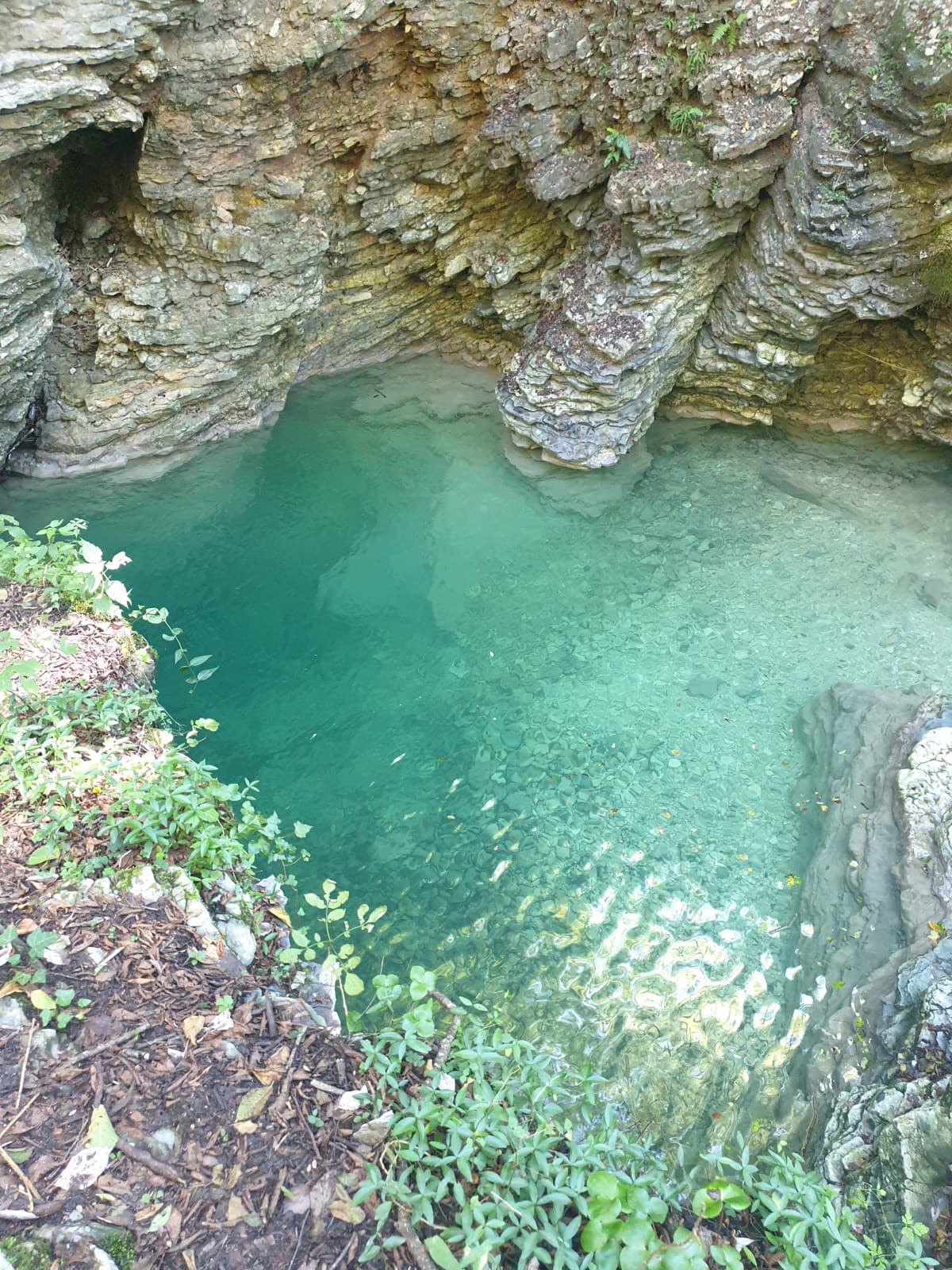 Immagina avere trovato il luogo perfetto per camminare nella natura rilassarsi farsi un bagno fare foto fare sesso tra i fiorellini usare sostanze illegali occultare corpi morti