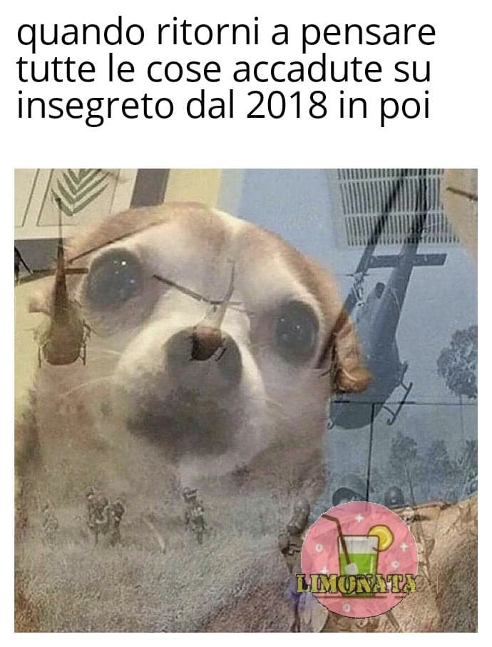 Il 2018 sono anche usciti di shout per la prima volta e io c'ero :') 