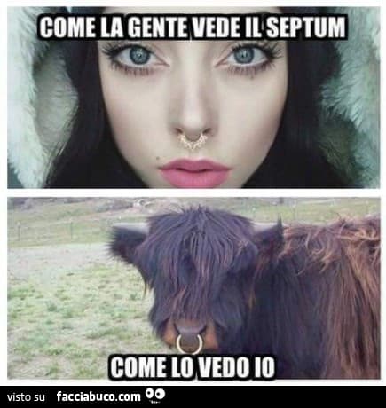 Ironia, ragazzi...