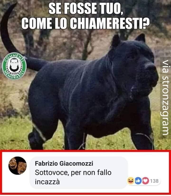 Nerone, lo chiamerei Nerone!