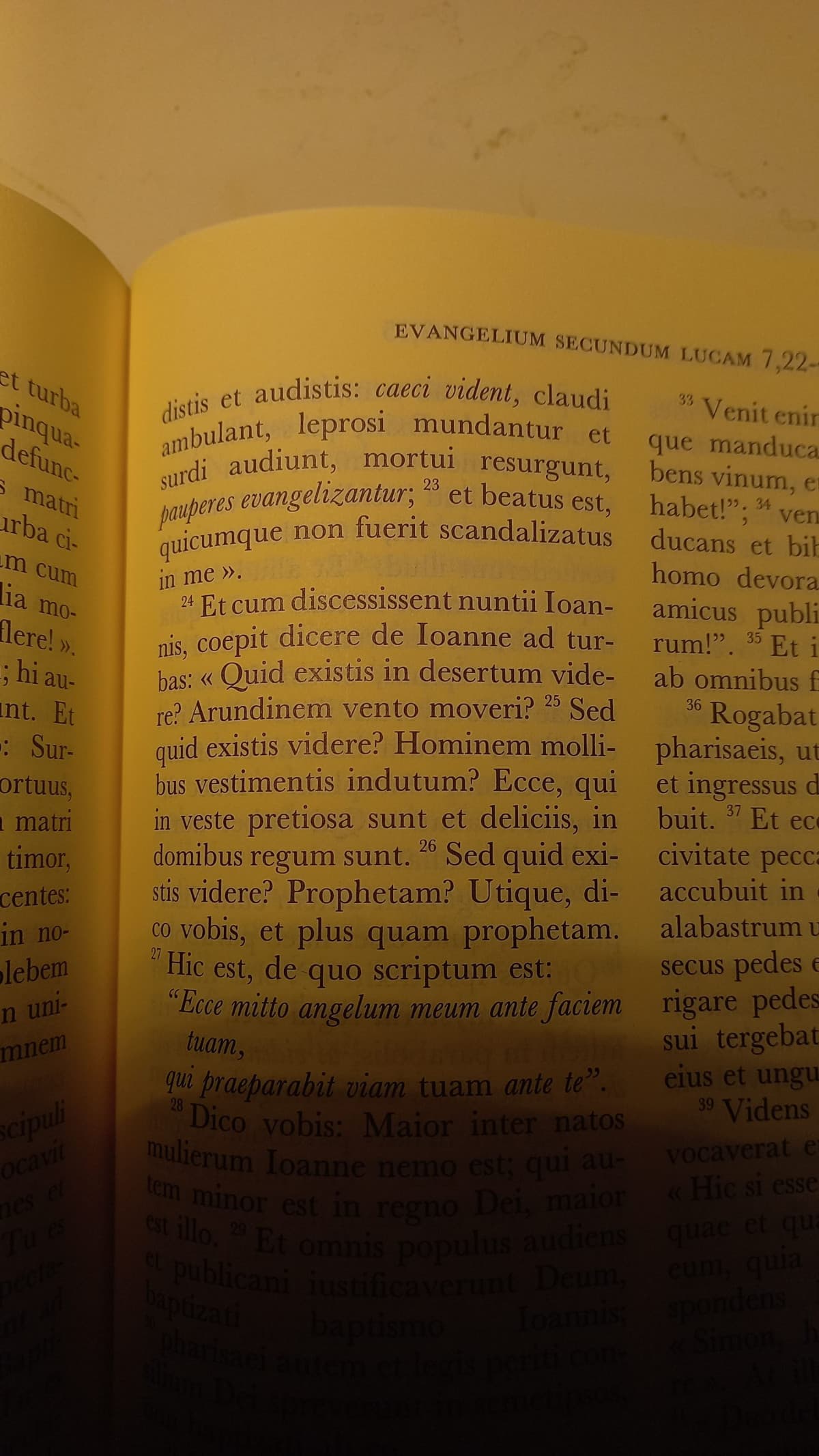 Lc. 7:22-23 Dubito servano spiegazioni ✝