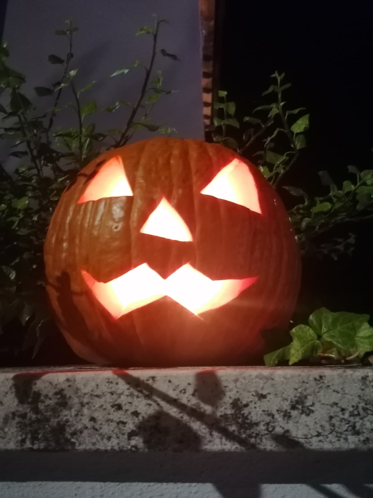 Guardate che bella la zucca che abbiamo intagliato 