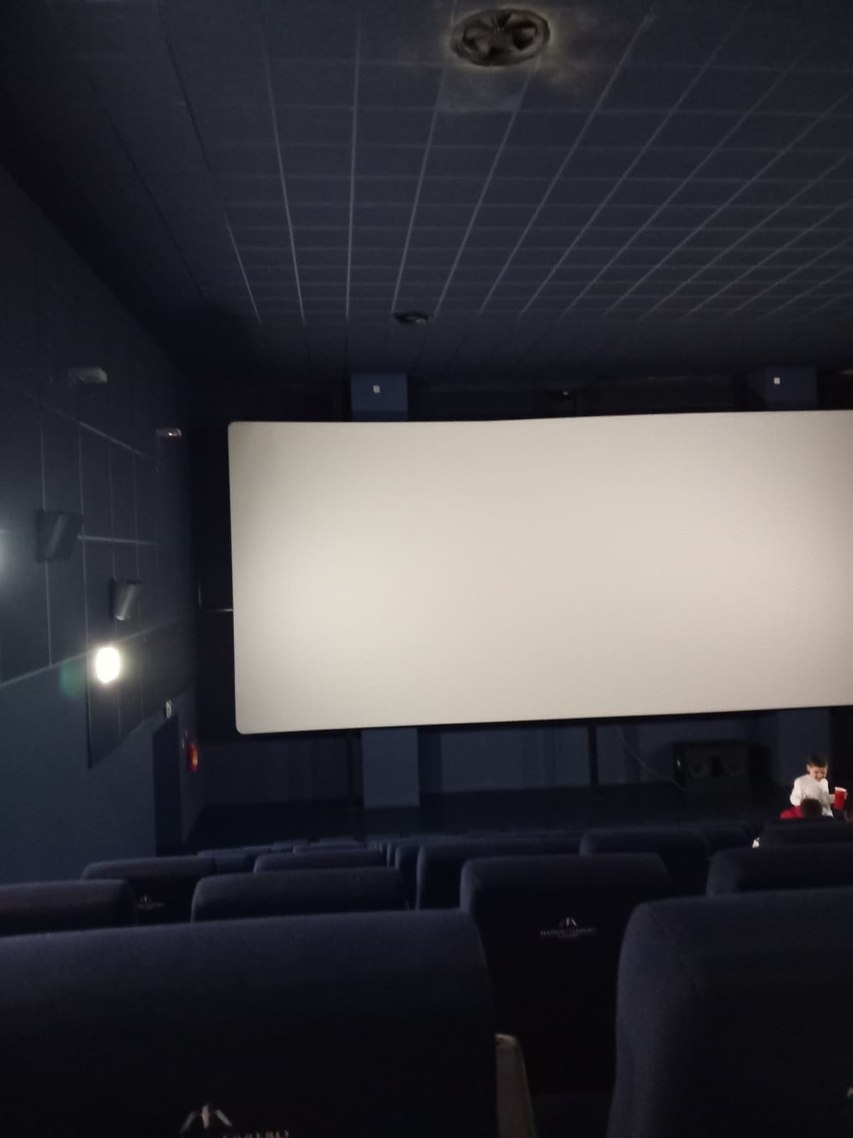 Pov: sei al cinema a vedere un film ma l'età media è  di 5-6 anni 