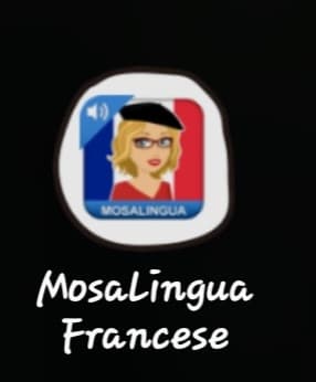 lingua da imparare scelta. motivazioni: è una lingua romanza, è diffusa in Europa e fuori, in futuro ho altissime possibilità di trasferirmi in Francia 