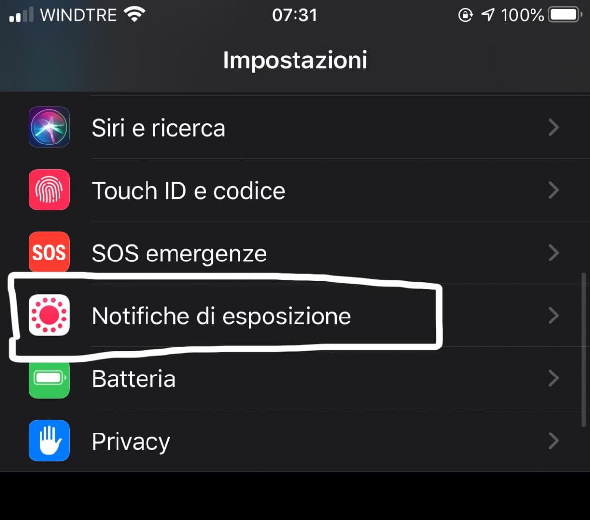 non ci avevo fatto caso