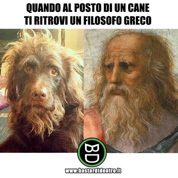 il cane di Socrate.... 