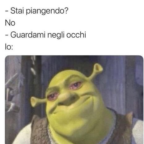 guarda verso l'alto Shrek, GUARDA VERSO L'ALTO