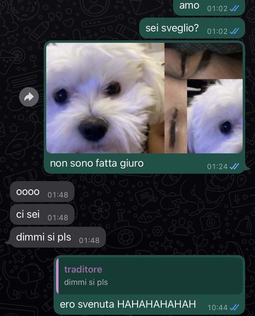 molto credibile 