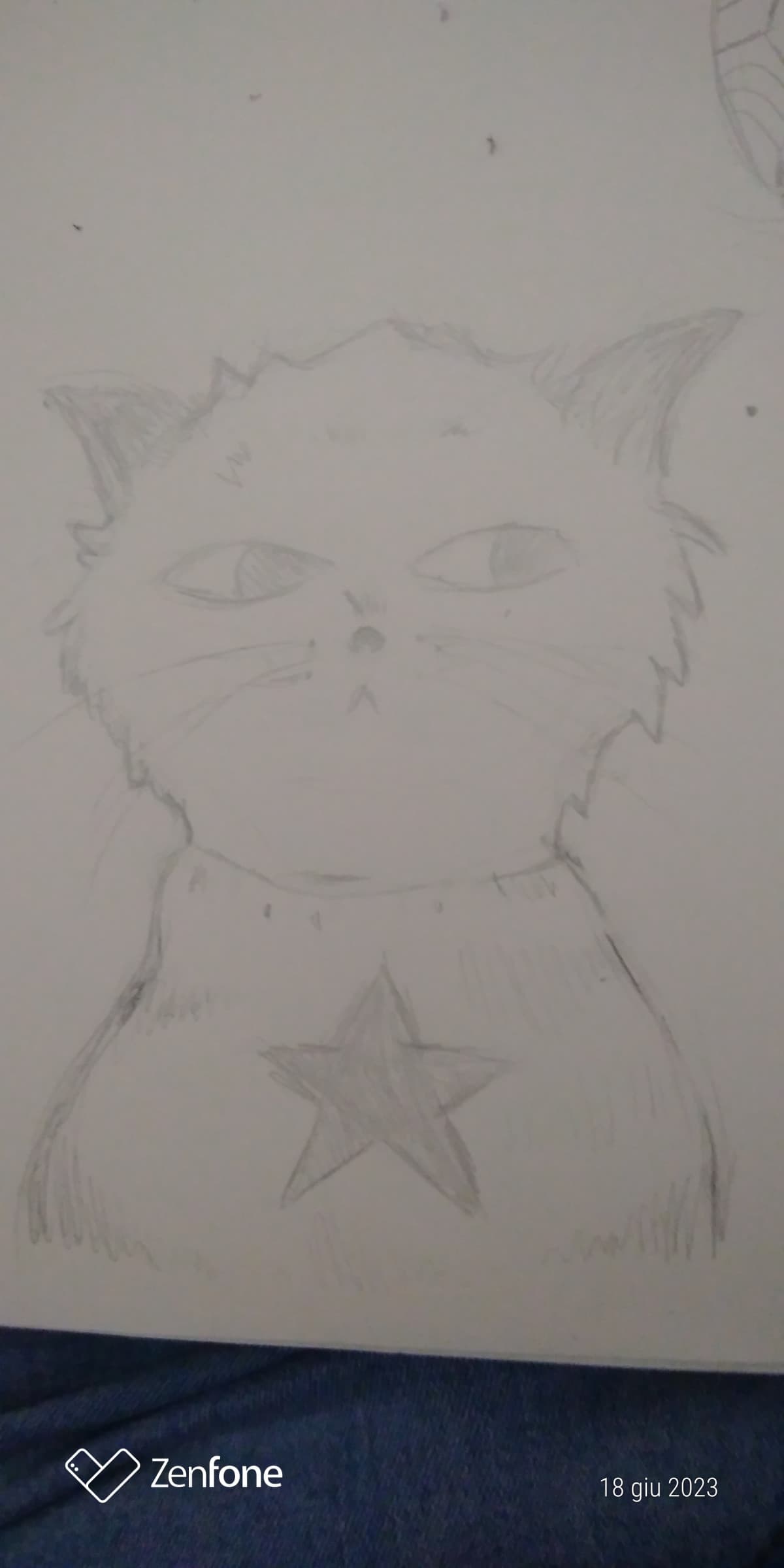 Disegno gatti 