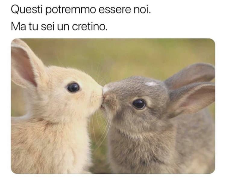 Caro crush, vorrei mandartelo così tanto 