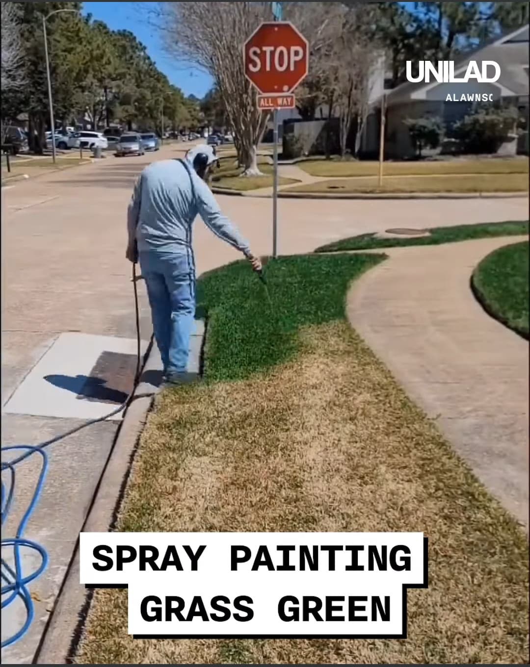 Di cazzate ne ho viste tante, ma dipingere l'erba appassita per farla sembrare verde le supera tutte 