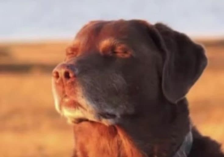 Io intollerante dopo aver mangiato (consapevolmente) dei latticini: