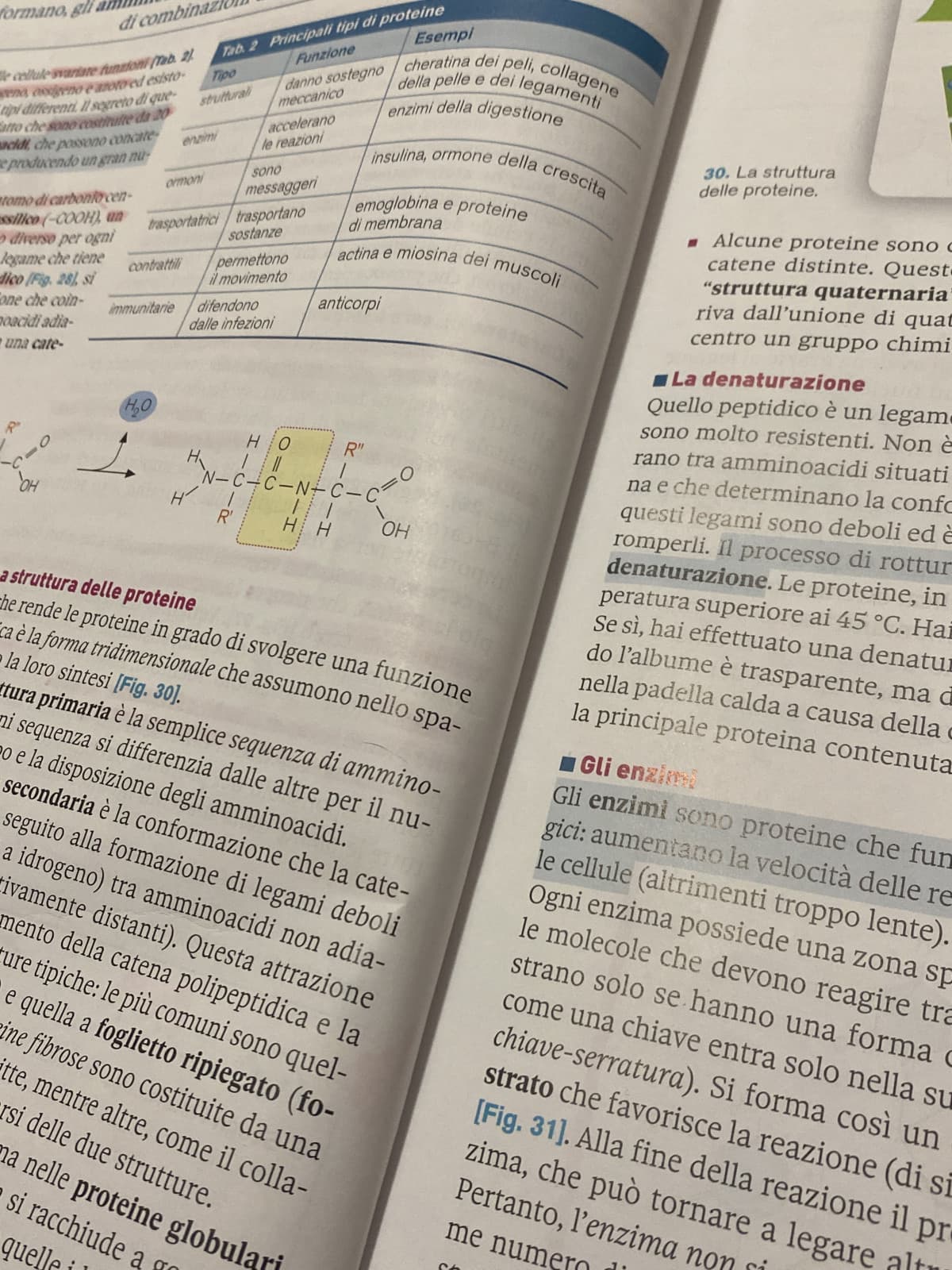 MA PERCHÈ DEVO FARE BIOLOGIA ALLO SCIENZE UMANE, A CHE CAZZO MI SERVE IO NON LA CAPISCOOO😭😭😭😭