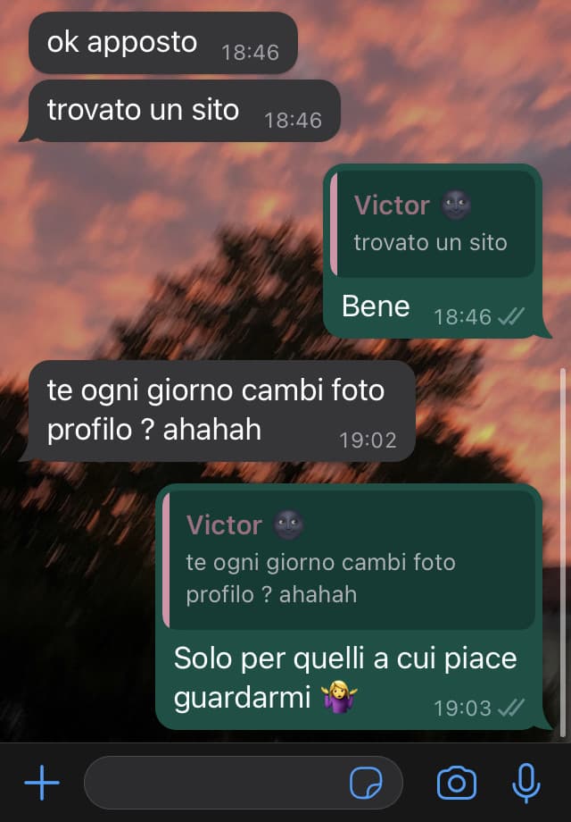 Ho dato una buona risposta? (Sto qua è stronzo)
