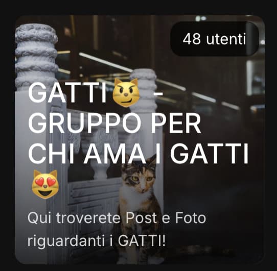 🐱SE AMETE I GATTI DOVETE ISCRIVERVI A QUESTO GRUPPO!! ➡️ GATTI😼 - GRUPPO PER CHI AMA I GATTI😻