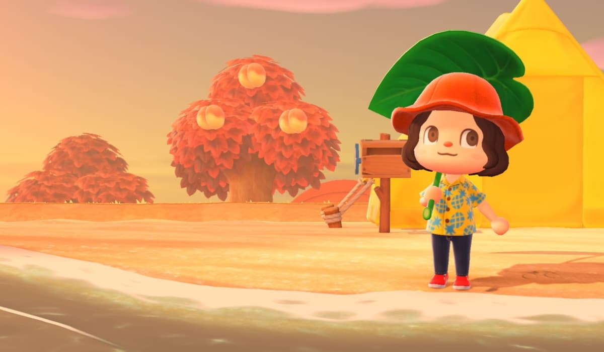 ✨🍂🍂✨