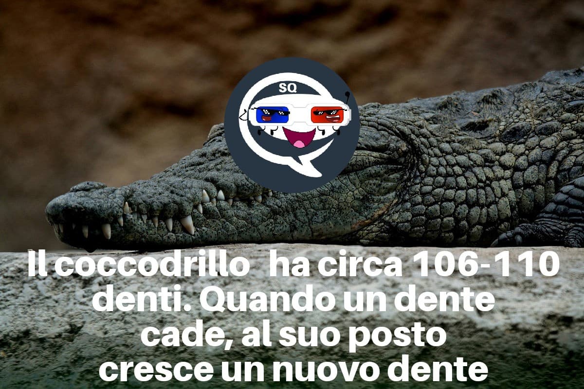 La crescita dei denti non è limitata!