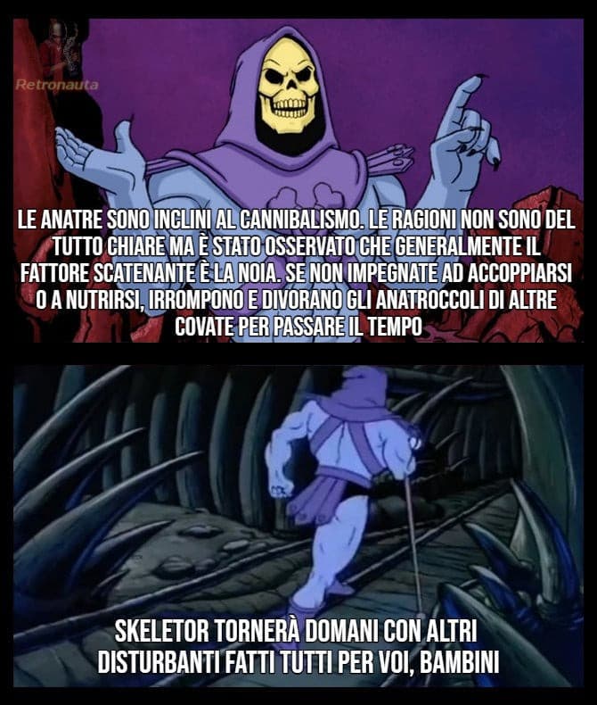 Fatti e curiosità da Skeletor 