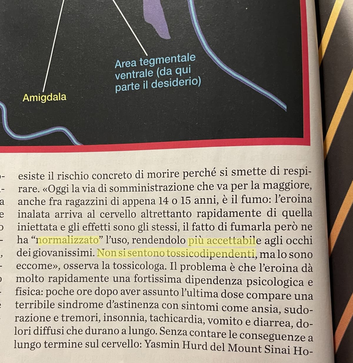 “Normalizzare” , una parola pericolosissima di cui avevo già parlato tempo fa. In molti, anche qui tra di voi, si permettono di parlare di droghe, legalizzazione ecc. ma il fatto è che non sanno nulla o quasi devi effetti sul cervello. Ma più tendente al n