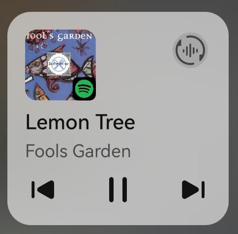 @Lemon_tree: "Michele, mi stai ascoltando?" Io: "Sì sì"