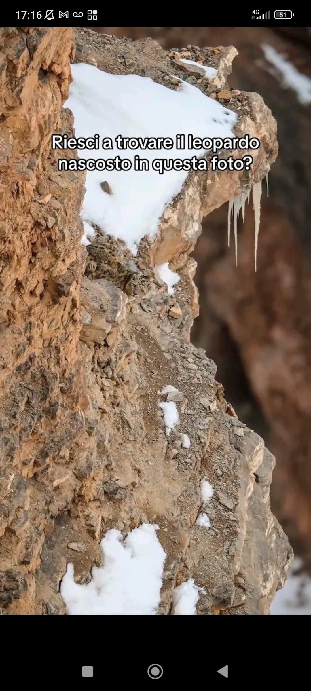 Vedete se riuscite a trovarlo dai, aprite bene l'immagine. Il primo che vince vince qualcosa, poi decido cosa. Su su che mi annoio