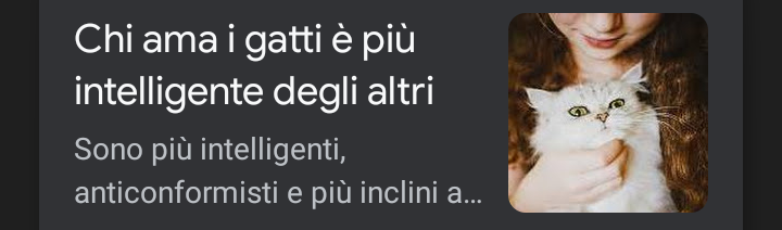 X: Ma alla fine è solo un gatto