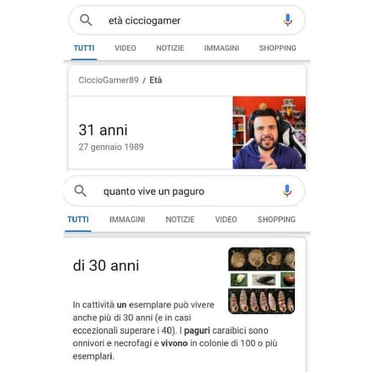 ?? non è un vero paguro 