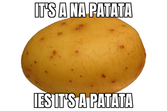 Patata 