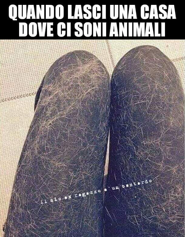 Sempre??