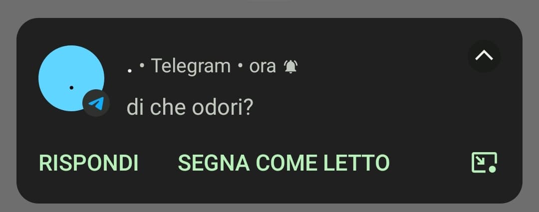 ho sudato come un cinghiale in un macello in sauna sono la donna meno attraente che esista al momento. mezzo paese mi ha vista é arrivato il momento di uccidermi