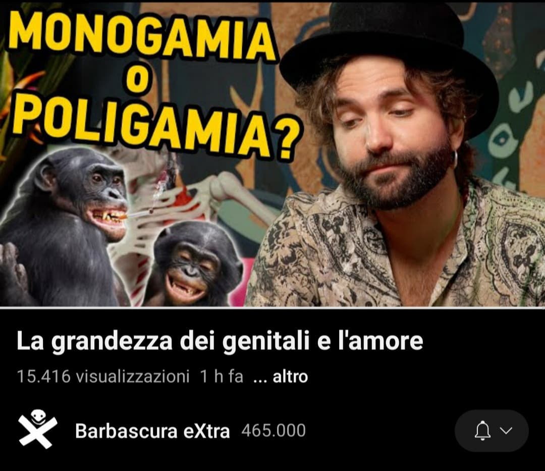 Fanculo le guerre sul sito e la pedofilia,parliamo di cose serie: voi siete  TEAM GORILLA (PALLW E BATACCHIO PICCOLO  con harem a vostra disposizione h24 7/7 anche festivo...) o TEAM BONOBO (PALLE E PISNELO GINGANTW ma solo 1 hoe per tutta la vita)??????