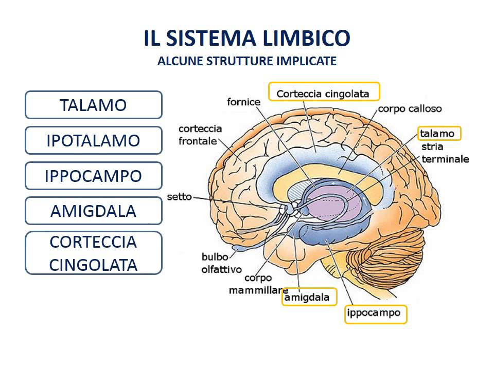 La causa principale di tutti i miei problemi