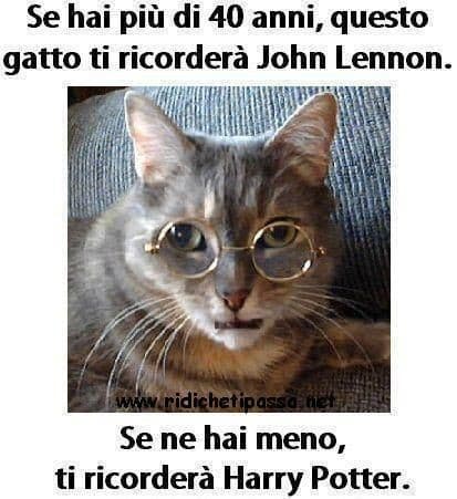 Ho decisamente meno di 40 anni, ma questo gatto mi ricorda troppo John Lennon. 