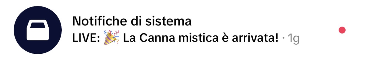 Grazie tiktok, grazie
